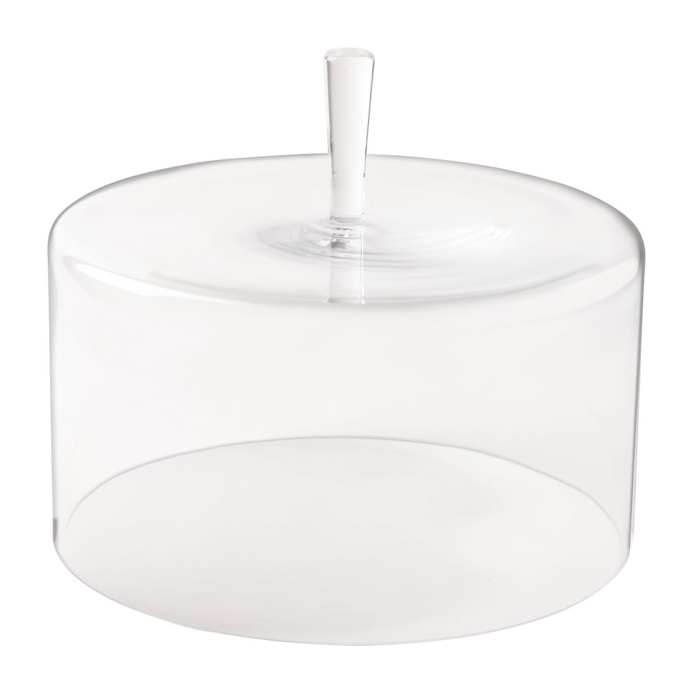 Modern Glass Dome 10"